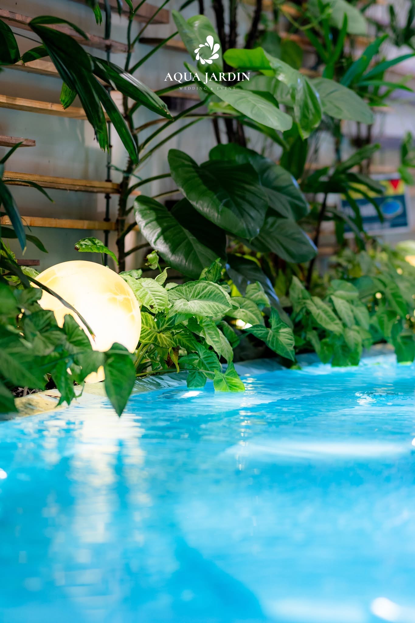 Không gian Aqua Jardin 6